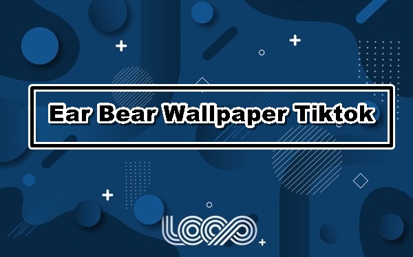 Ear Bear Wallpaper Tiktok