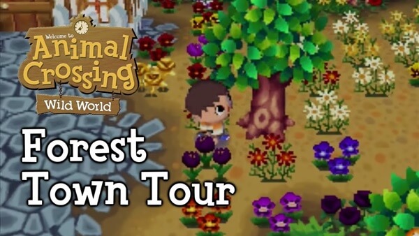 Honorable Mention, Animal Crossing Wild World