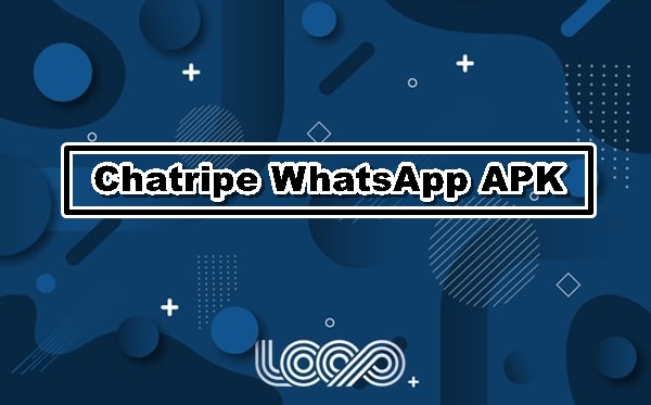 Chatripe WhatsApp APK