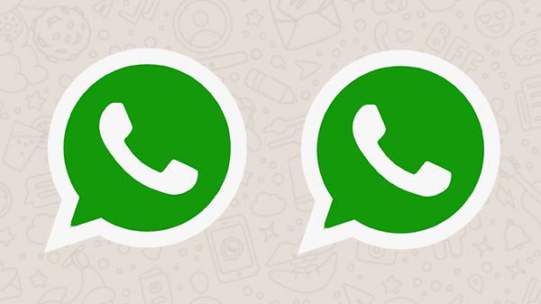 Fitur yang Tersedia pada WhatsApp Clone