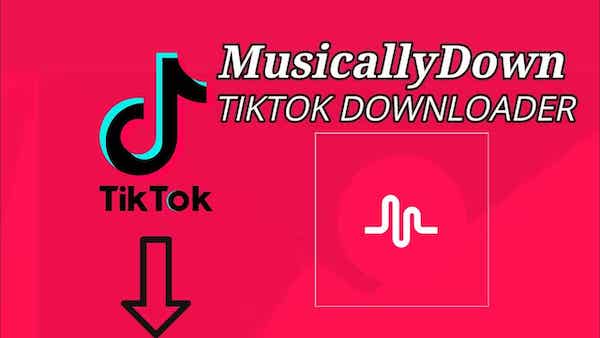 Review Situs Musicallydown