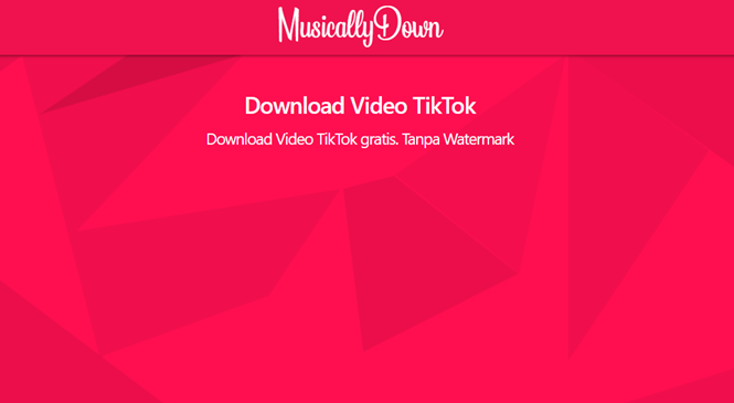 download video tiktok