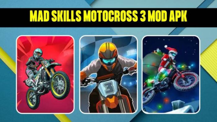 Tentang Mad Skills Motocross 3 Mod Apk