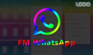 FMWhatsApp (FM WA) APK Mod Download Terbaru Official