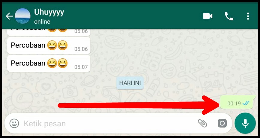 Blank Text WhatsApp, Cara Mudah Mengirim Pesan Kosong di WA