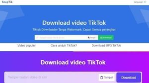 Savefrom Tiktok Snaptik Aplikasi Download Video TikTok Salin Url