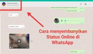 Cara Menyembunyikan Status Online WhatsApp Terbaru Berhasil