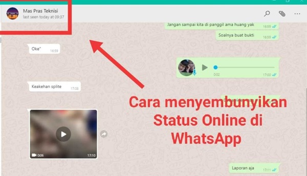 Cara Menyembunyikan Status Online WhatsApp Terbaru Berhasil