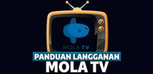 Cara Berlangganan Mola TV Terbaru 2023 PC, Android iPhone