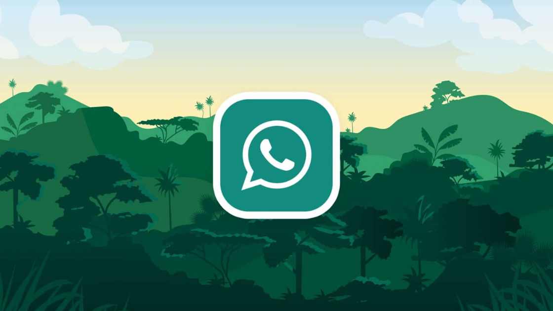 Apakah WhatsApp GB Bisa Melihat Status yang Diprivasi?