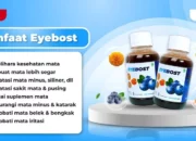 Rahasia Kesehatan Mata dengan Eyebost Pilih Vitamin Mata Terbaik untuk Kesehatan Optimal