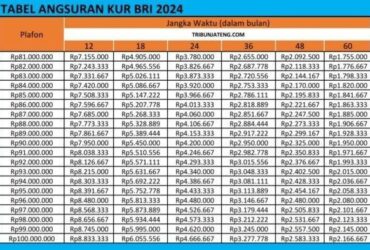 Tabel Angsuran, Syarat, dan Cara Mengajukan KUR BRI 2024