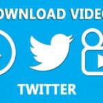 Twitter Downloader Solusi Cepat Download Video dan Gambar dari Twitter